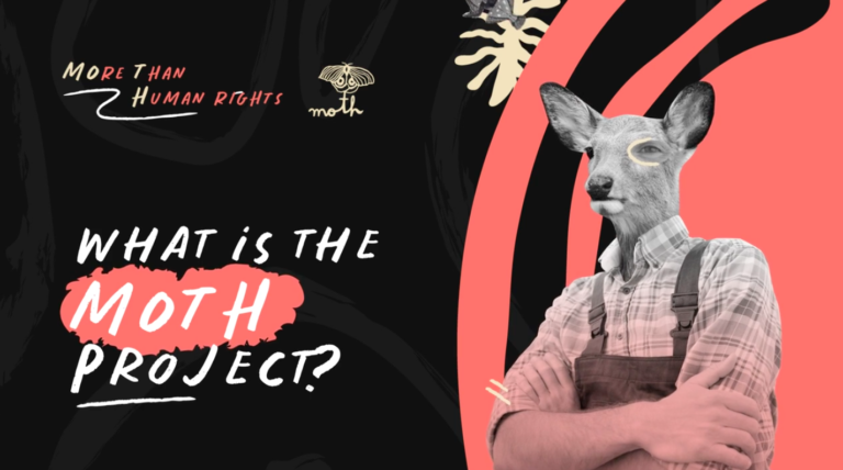 What is the MOTH Project?